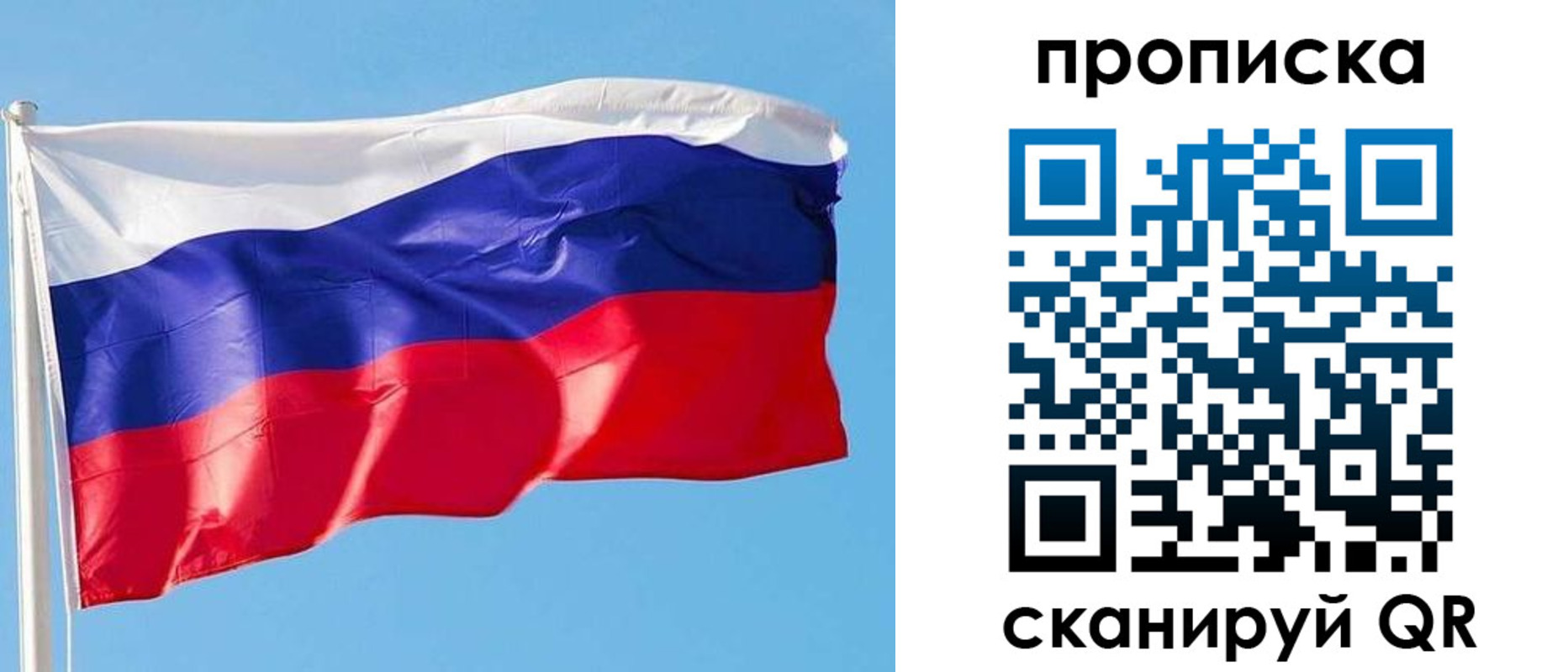 прописка поиск в Ростове